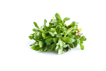 Obraz premium Fresh Wild Greens for Qingming Festival Tasting