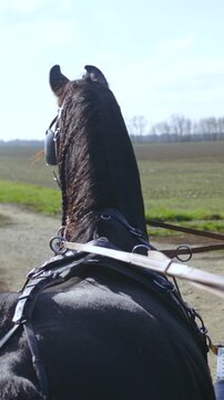 Riding the coach around countryside in slow motion
