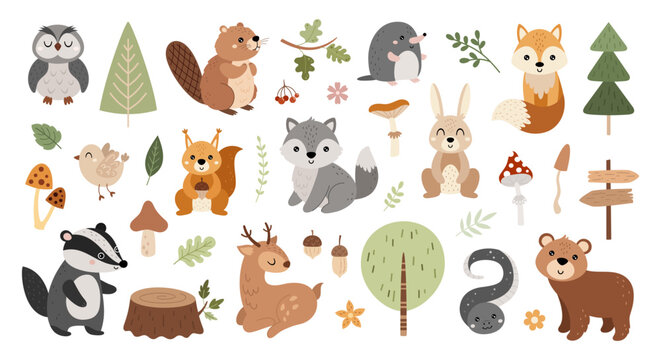 Woodland animals illustration bundle. Cartoon forest characters and plants images. Children hand drawn vector clipart.