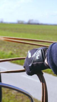 Hands holding reins steering the horses close-up