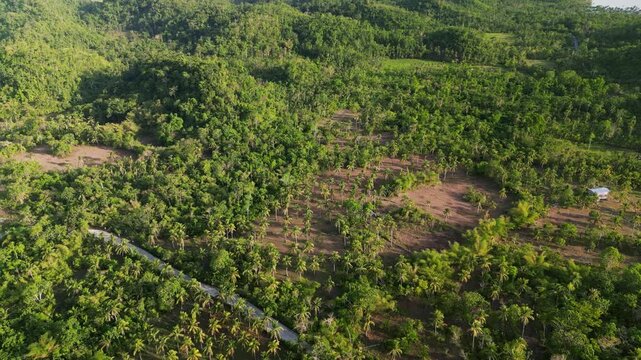 Picturesque aerial pullback of lush farmlands, coconut groves, and tropical terrain - Virac, Catanduanes, Philippines