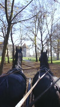 POV of two horse carriage ride towards the castle