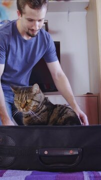 Person packs the cat into travel suitcase with a smile