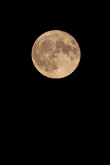 Fototapeta premium Cinematic vertical shot of the shining full moon with sharp craters high in the dark evening sky.