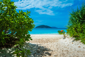 Fototapeta premium Beautiful view with blue sky and clouds, blue sea and white sand beach on Similan island, No.8 at Similan national park, Phuket, Thailand is most popular for tourist. Copy space for vacation.