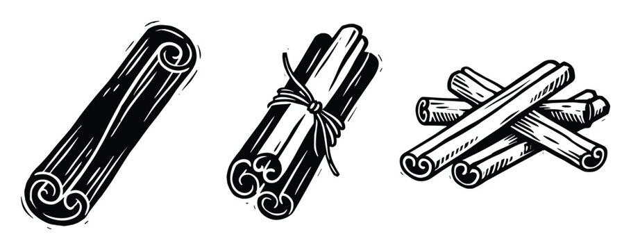 Cinnamon sticks in woodcut style vector element