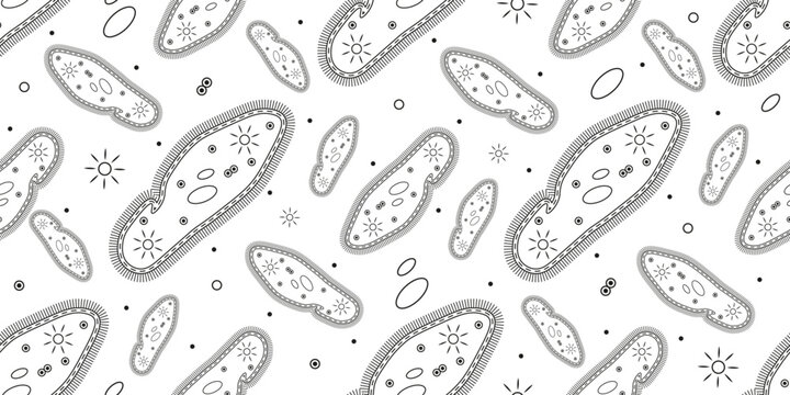 Infusoria slipper Seamless Pattern isolated white. Black vector Paramecium Caudatum Seamless background Perfect science Wallpaper textile fabric print design. EPS 10