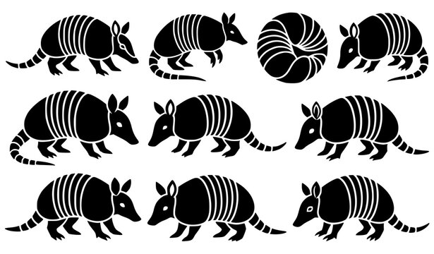 Detailed Armadillo Animal Silhouette Collection in Various Positions Vector Illustration