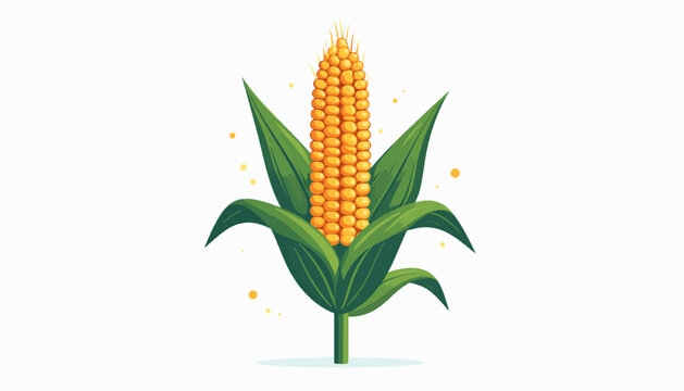 A single ear of bright yellow corn, detailed with green leaves and stem