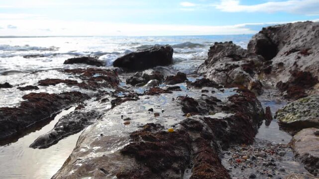 Calm ocean waves gently lapping against a rocky shoreline covered in seaweed and small tidal pools, with a bright, cloudy sky reflecting on the tranquil water surface in Portugal