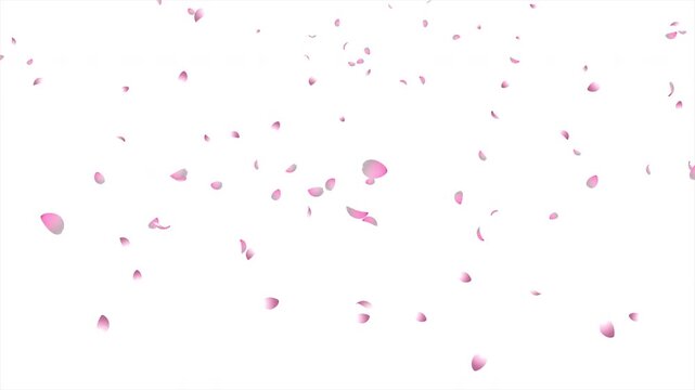 Cherry blossom petals falling animation. Pink cherry petals. Sakura leaves falling. Realistic falling blossoms. Falling petals. Japanese spring concept