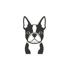 Fototapeta premium French Bulldog and Boston Terrier minimalist head icon design