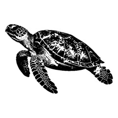 Fototapeta premium marine reptile illustration, ocean turtle graphic, nautical wildlife art, stylized chelonian design, coastal fauna depiction, aquatic creature cutout.