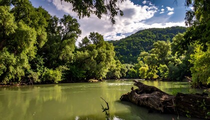 Obraz premium Serene green river landscape with trees.