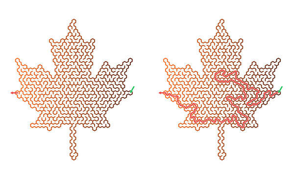 Abstract orange maple leaf design with maze patterns on white background  