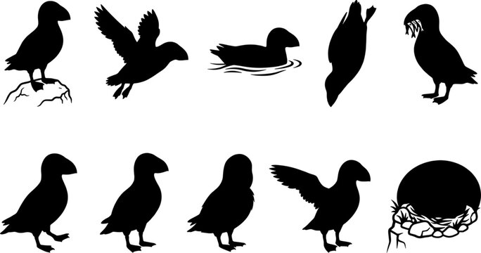 Atlantic puffin bird silhouettes set collection featuring various standing and flying poses on transparent background
