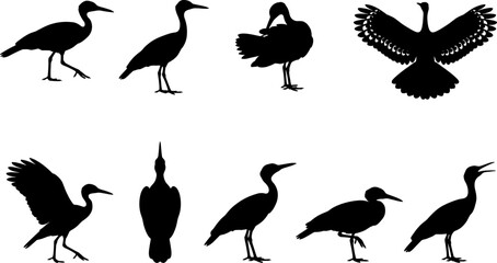 Fototapeta premium Crane and heron bird silhouette collection showing standing and flying poses in a set