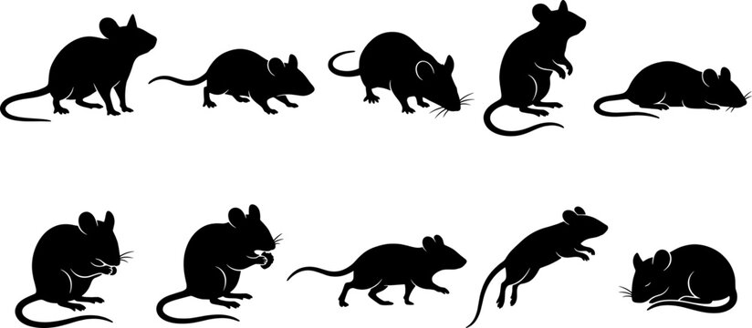 Collection of mouse silhouettes showing small rodents sniffing and jumping for web design assets