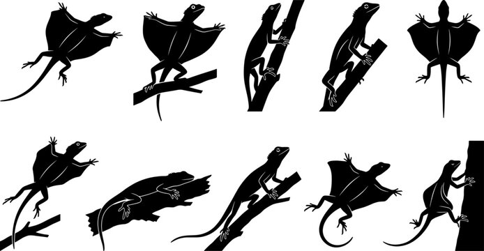 Collection of gliding lizard silhouettes showing draco reptiles climbing trees and flying through air