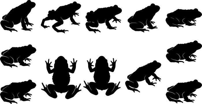 Collection of toad silhouettes showing multiple sitting and profile positions for wildlife graphics
