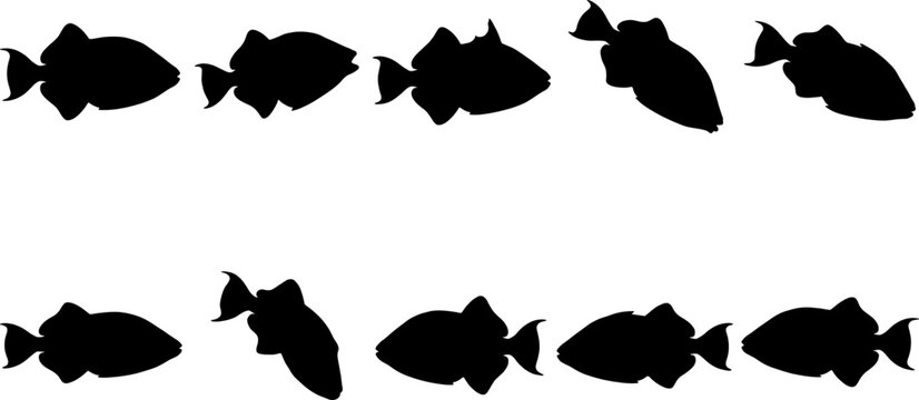 Collection of triggerfish silhouettes swimming in various directions for an aquatic set