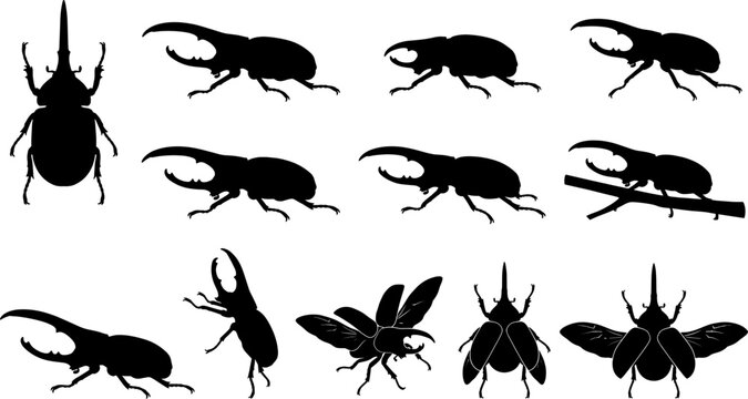 Detailed collection of rhinoceros beetle and stag beetle silhouettes in various crawling positions