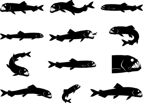 Fangtooth fish silhouette collection featuring terrifying deep sea predators in an aggressive set