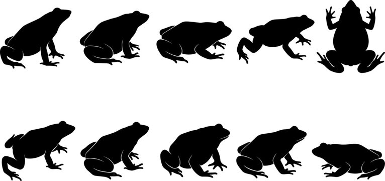 Frog and toad silhouette pack displaying various sitting and jumping amphibian poses