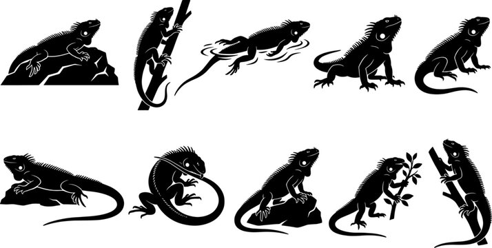 Iguana lizard silhouette pack showing reptiles climbing branches and resting on rocks for nature design