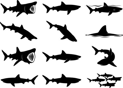 Large shark silhouette set including basking sharks and great whites in active poses