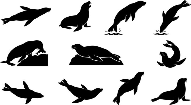 Marine seal and sea lion silhouette bundle featuring swimming and barking poses