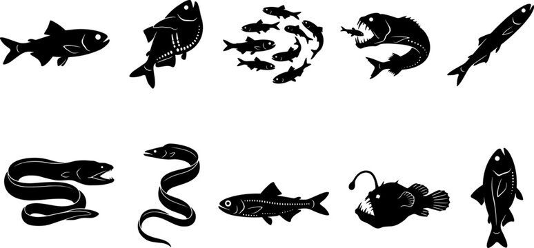 Mixed deep sea fish silhouette set including eels anglerfish and schools in a bundle
