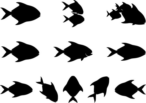 Pompano and permit fish silhouette pack featuring various swimming positions for saltwater fishing graphics
