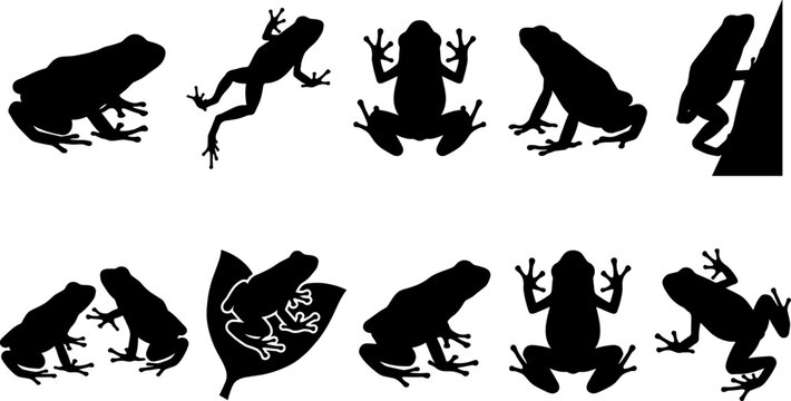 Poison dart frog silhouettes set collection featuring various climbing and sitting poses on white