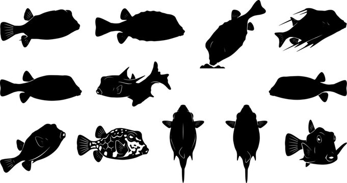Pufferfish and boxfish silhouette collection featuring various swimming poses and angles