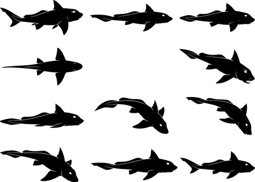 Ratfish chimaera silhouettes bundle collection isolated on transparent background for marine biology and nature design