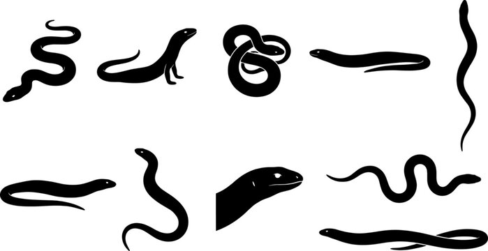 Slithering snake silhouette set showing diverse legless reptiles in curved movement patterns
