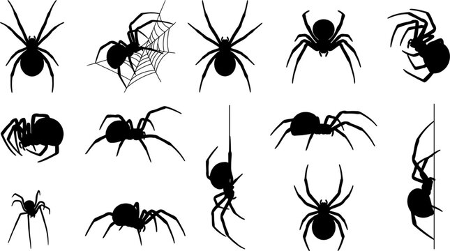 Spider silhouette bundle featuring various arachnids crawling spinning webs and in top-down views