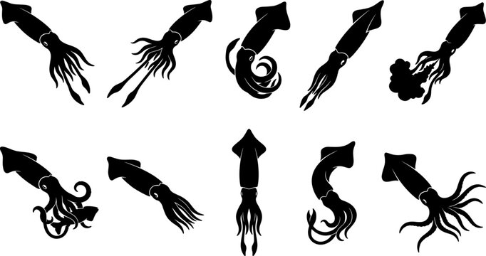 Variety of squid silhouettes depicting aquatic animals swimming and releasing defensive ink clouds