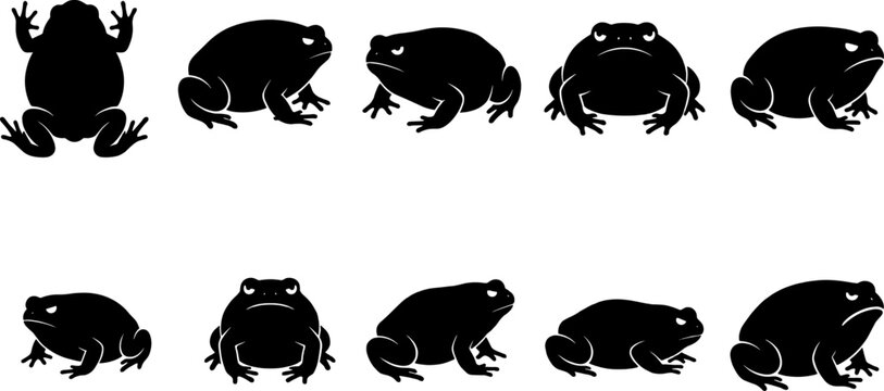 Amphibian toad silhouette set showing various squatting and jumping frog positions