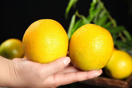 Fresh Zigui Oranges from Hubei Province - Ripe Citrus Fruit Rich in Vitamins Summer Harvest