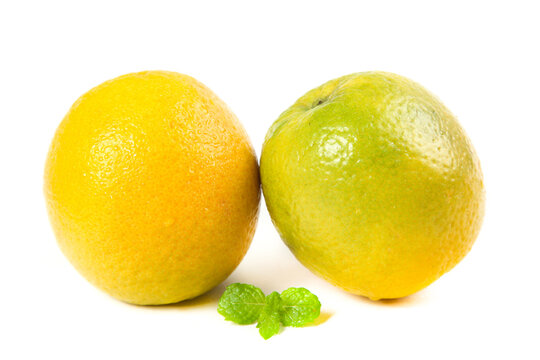 Fresh Orange and Lime Citrus Fruits with Mint from Zigui, Hubei - Healthy Summer Vitamins on White Background