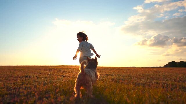 A young boy runs joyfully across a golden field. A small dog follows the boy, both illuminated by the warm sunset in the background.