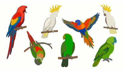 Exotic Parrot and Cockatoo Bird Clipart Vector Set for Printing © Crafts Home