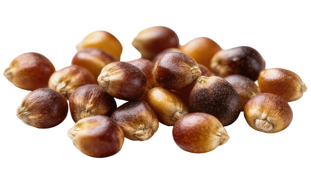 Pile of unpopped popcorn kernels with varied brown and golden hues