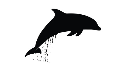 Obraz premium dolphin silhouette on white background animal marine
