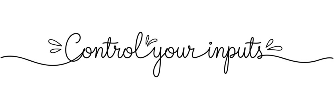 Hand lettering message instructing input control on white background, none editable stroke