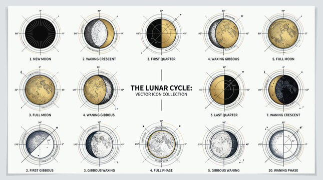 Lunar Cycle Phases: New Moon to Full Moon Vector Icons Collection
