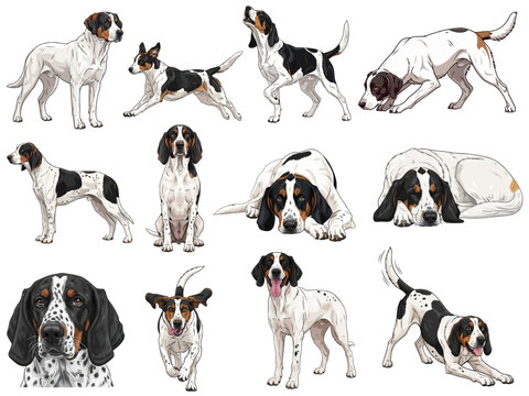 Ariegeois dog profile poses collection set vector illustration