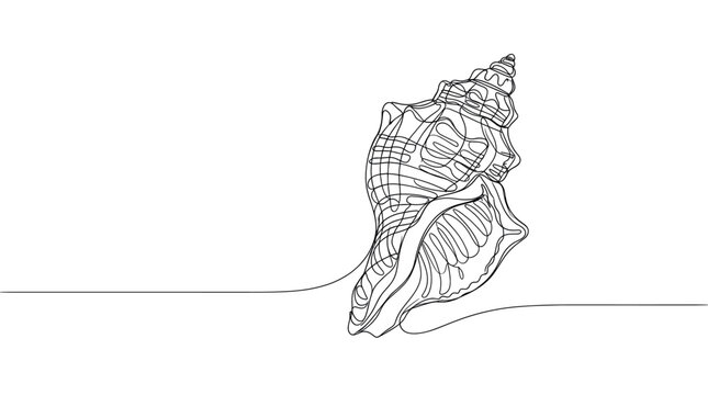 Beautiful spiral conch seashell is drawn with a single continuous black line on a clean white background